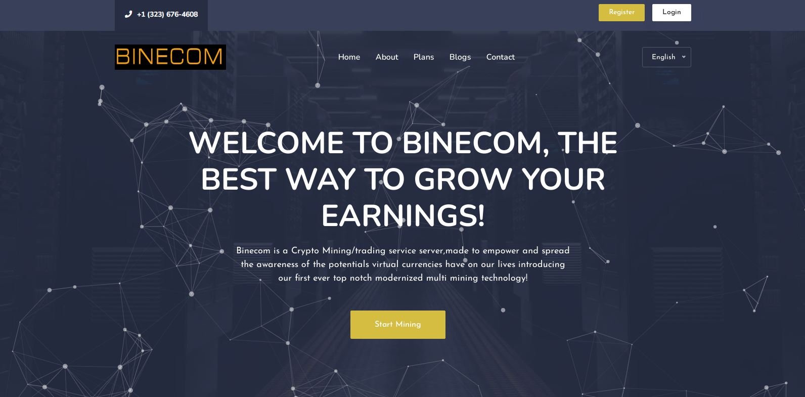 Binecom review