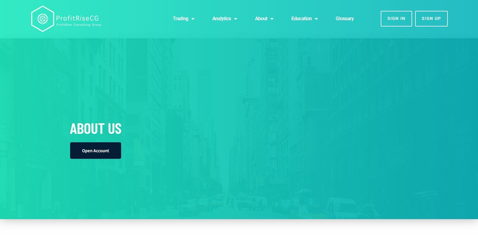 Profitrisecg review