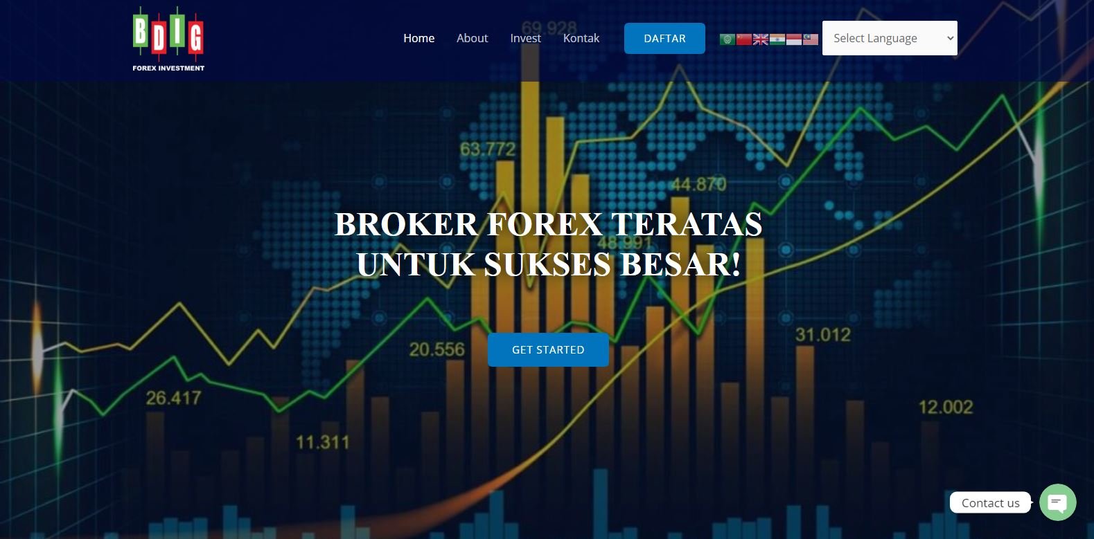 BDig Forex Investment review