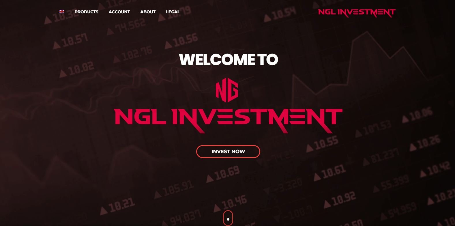 NGL Investment Review 